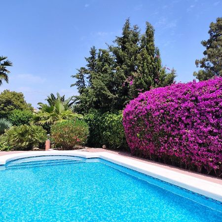 Villa With Private Pool, Bbq, Fitness Center & Sauna San Vicente Raspeig Buitenkant foto