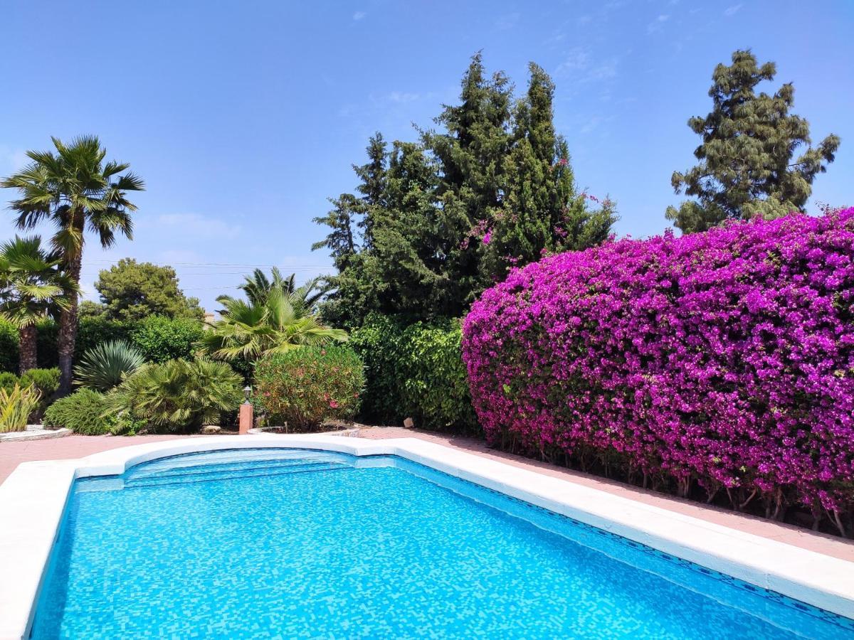 Villa With Private Pool, Bbq, Fitness Center & Sauna San Vicente Raspeig Buitenkant foto