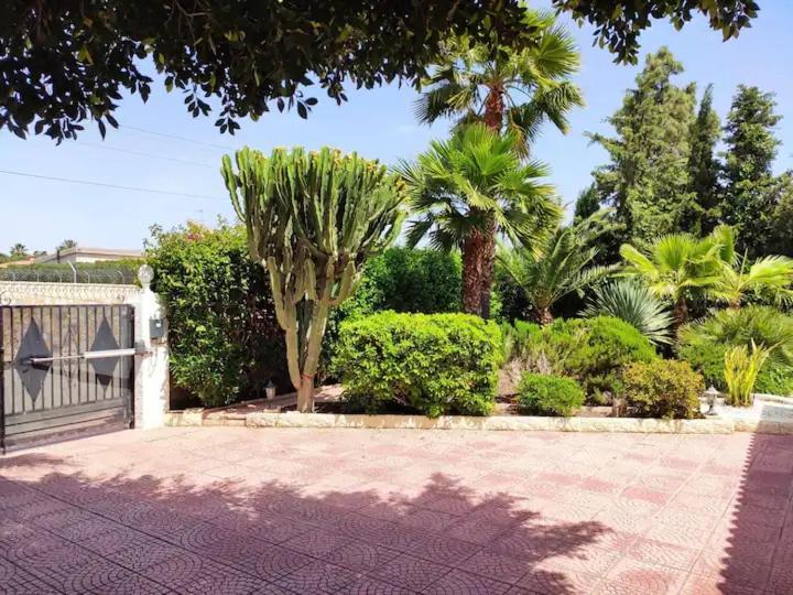 Villa With Private Pool, Bbq, Fitness Center & Sauna San Vicente Raspeig Buitenkant foto
